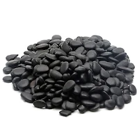 Black River Pebbles By Ashland™