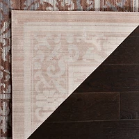 Valencia Oriental 4' X 6' Area Rug