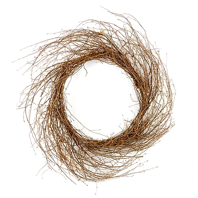 24" Wispy Grapevine Wreath by Ashland®