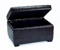 Manhattan Small Storage Ottoman in Brown