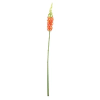 Orange and Red Foxtail Floral Crafting Stem