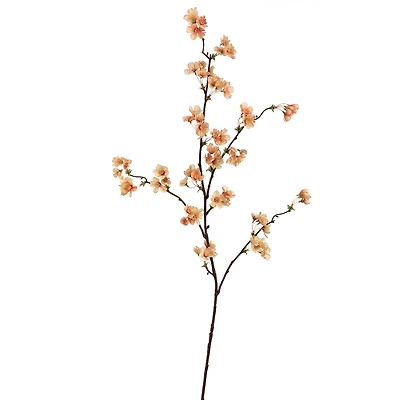 24 Pack: Apricot Peach Quince Blossom Stem