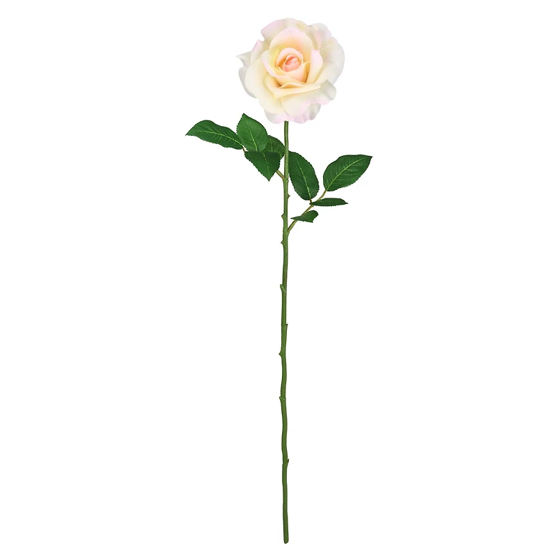 12 Pack: White Princess Rose Stem by Ashland®