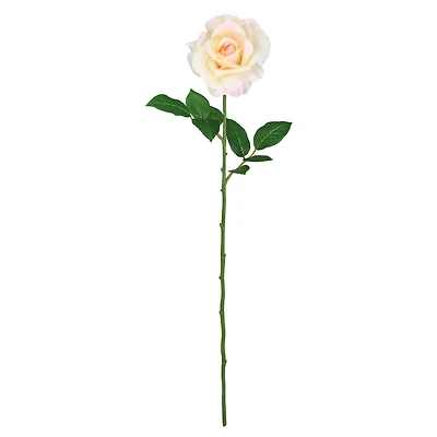 12 Pack: White Princess Rose Stem by Ashland®