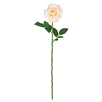 12 Pack: White Princess Rose Stem by Ashland®