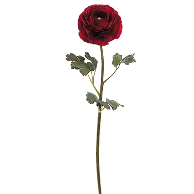 24" Ranunculus Stem, Dark Red