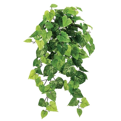 30" Potato Leaf Hanging Bush, Light Green