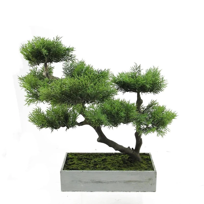 18" Artificial Japanese Bonsai Tree in Distressed Box