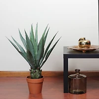 31.5" Potted Artificial Green Agave Americana Succulent