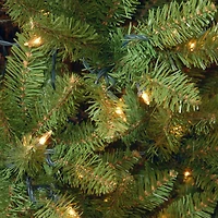 14 ft. Pre-Lit Kingswood™ Fir Pencil Artificial Christmas Tree, Clear Lights