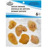 12 Packs: 6 ct. (72 total) Royal & Langnickel® Natural Sea Silk Sponge Set