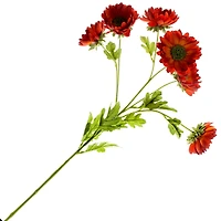 12 Pack: Rust Daisy Mum Spray by Ashland®