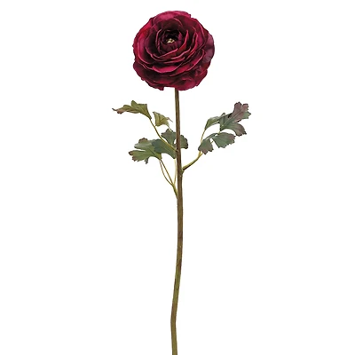 24" Ranunculus Stem, Burgundy