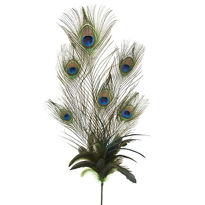 35" Peacock Feather Pick by Ashland®