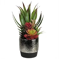 15" Artificial Succulents & Agave in Silver Ceramic Pot