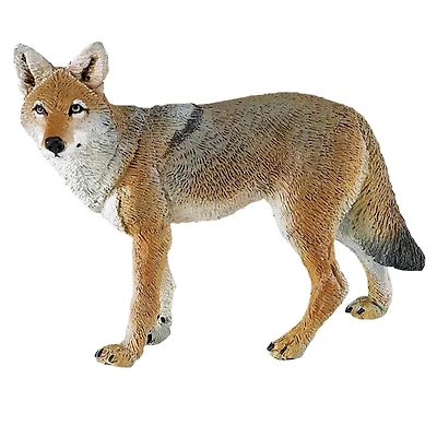 Safari Ltd® Coyote
