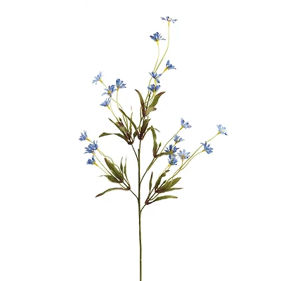 Wild Daisy Spray by Ashland®