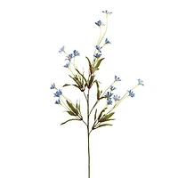 Wild Daisy Spray by Ashland®