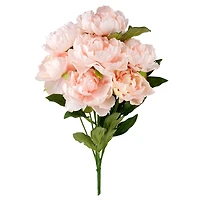 Coral Peony Bush by Ashland®