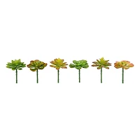 12 Pack: Assorted Snap-On Succulent Pick by Ashland®