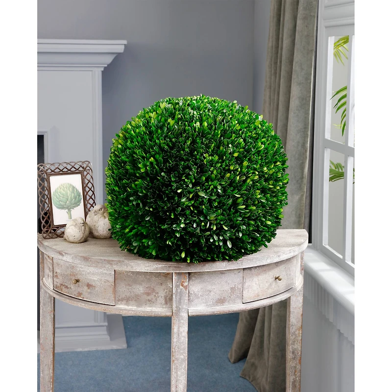 17" Preserved Boxwood Ball