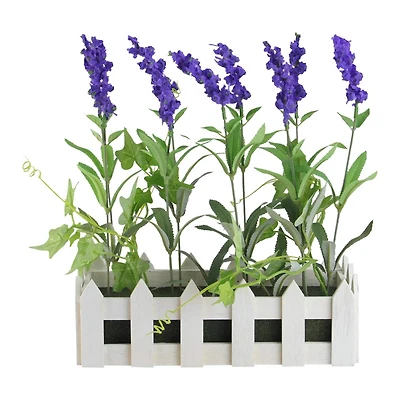 11.75" Lavender Plant in White Picket Fence Container