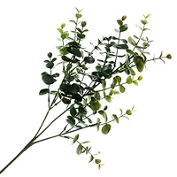 Eucalyptus Stem by Ashland®