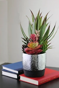 15" Artificial Succulents & Agave in Silver Ceramic Pot