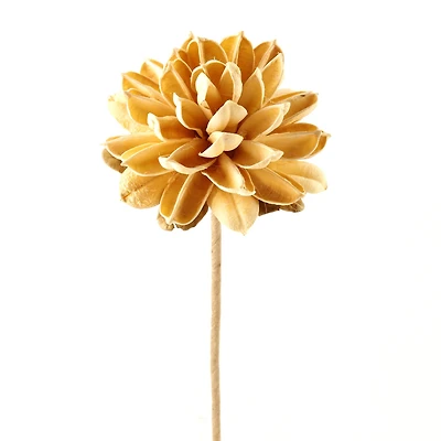 Ashland® Dried Floral Ball Mum