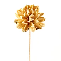 Ashland® Dried Floral Ball Mum