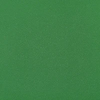 Esprit Irish Spring Green Vinyl