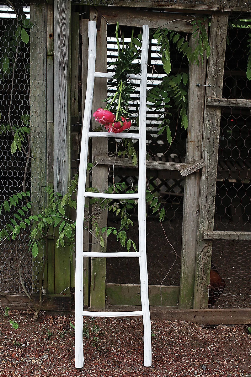 Hello Honey® Decorative Wooden Ladder