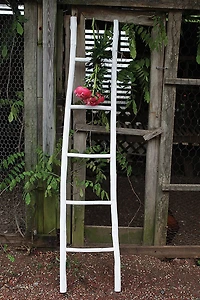 Hello Honey® Decorative Wooden Ladder