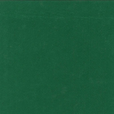 Springs Creative Hunter Green Fleece Fabric