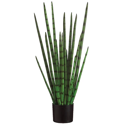 33" Snake Grass Plant