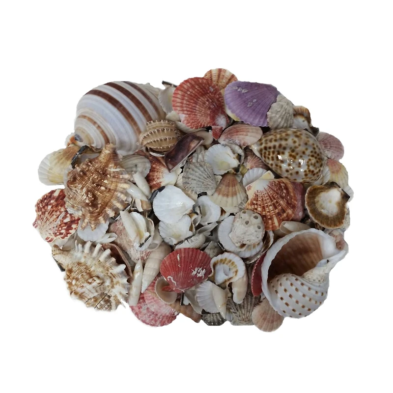 U.S. Shell Garden Bag