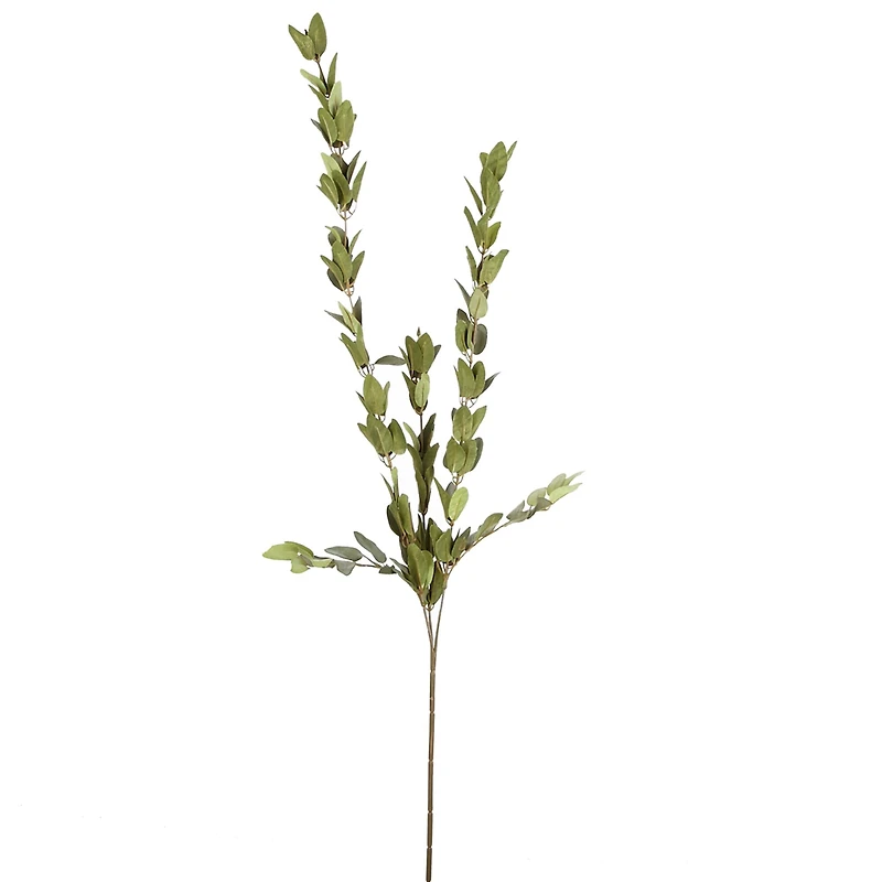 Huckleberry Leaf Spray by Ashland®