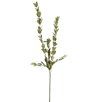 Huckleberry Leaf Spray by Ashland®