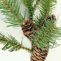 Dakota Red Pine Stem with Pine Cones