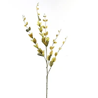 Lonicera Leaf Spray by Ashland