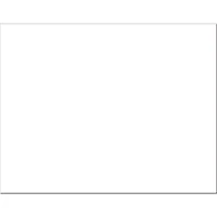 Pacon® White Railroad Poster Board, 22" x 28", 25 Sheets