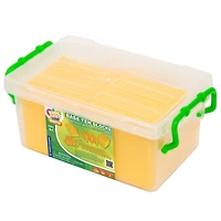 Thames & Kosmos Base Ten Blocks Math Kit with Activity Cards