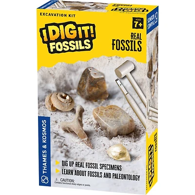 Thames & Kosmos I Dig It! Fossils: Real Fossils Excavation Kit