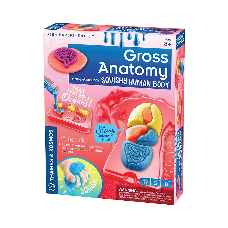Thames & Kosmos Gross Anatomy: Make-Your-Own Squishy Human Body