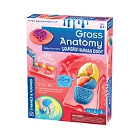 Thames & Kosmos Gross Anatomy: Make-Your-Own Squishy Human Body