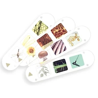 Thames & Kosmos Big & Fun Microscope Kit