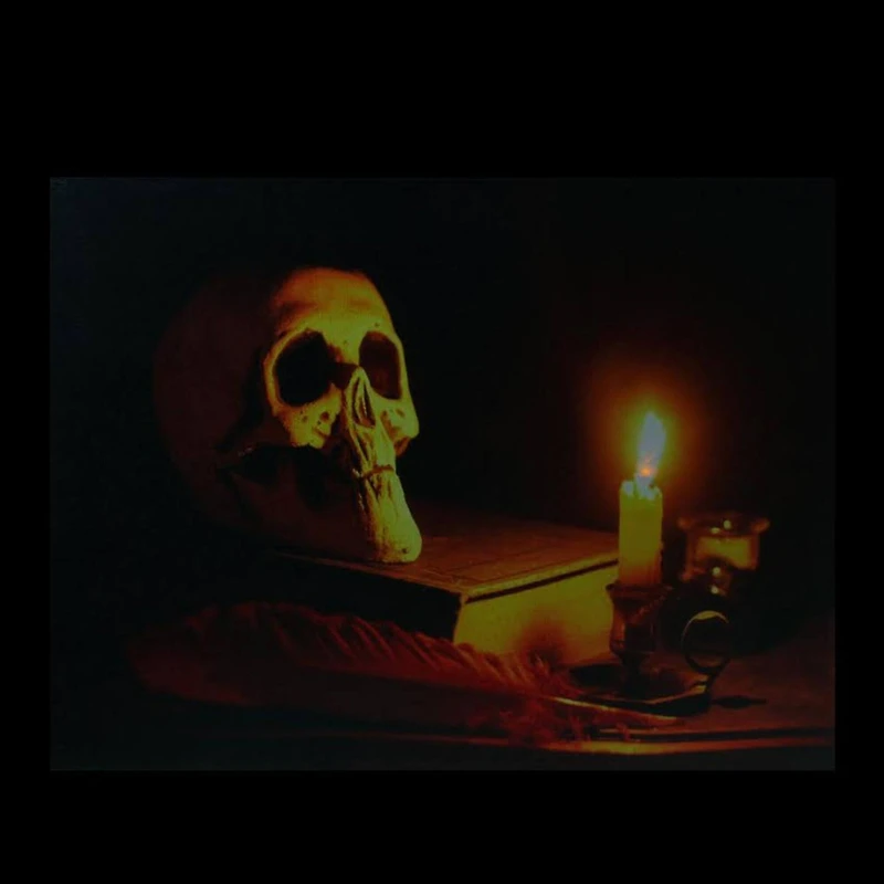 Antique Candle & Skull LED Canvas Wall Art