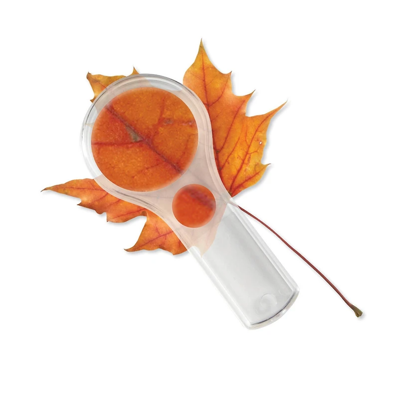 Dual Lens Magnifiers, 10 Pack