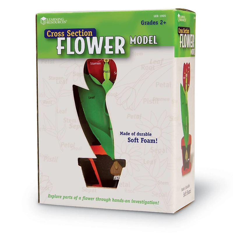 Learning Resources® Cross Section Flower Model
