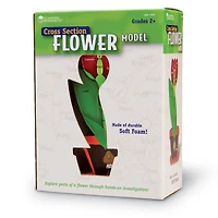 Learning Resources® Cross Section Flower Model